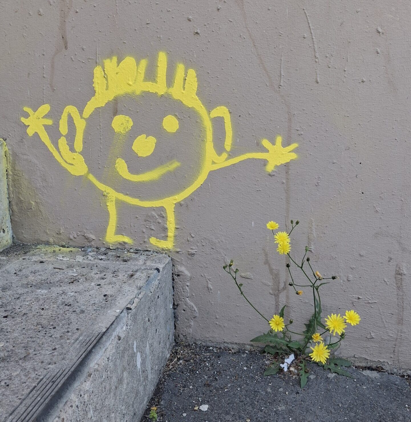 Artikelbild - Infos für Besucher*innen